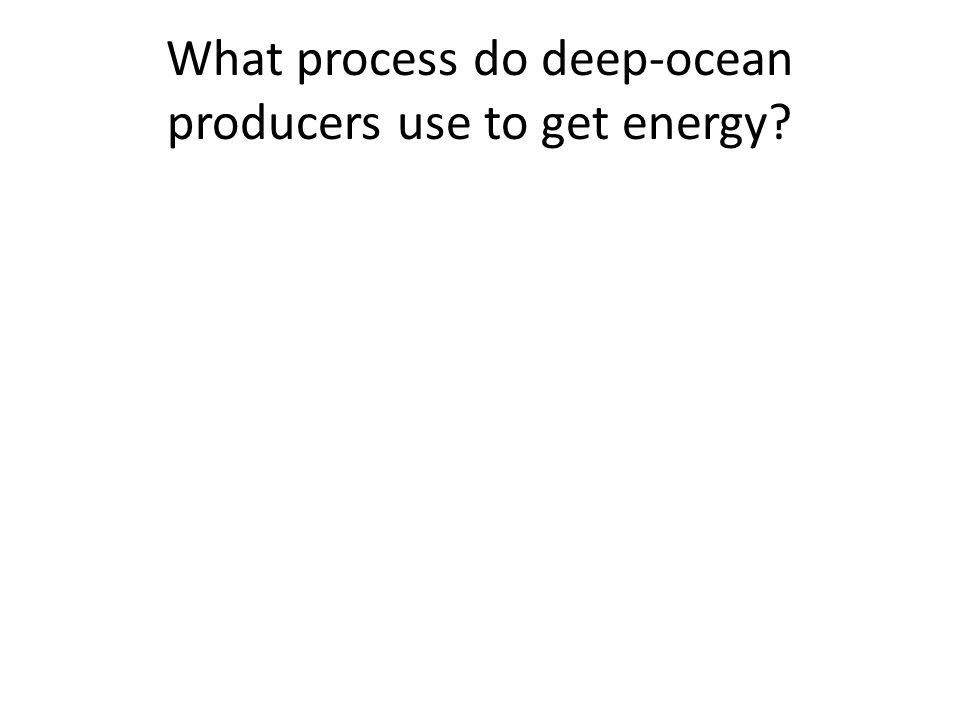 What process do deep-ocean producers use to get energy
