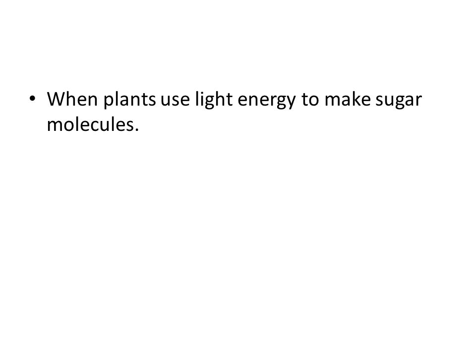 When plants use light energy to make sugar molecules.