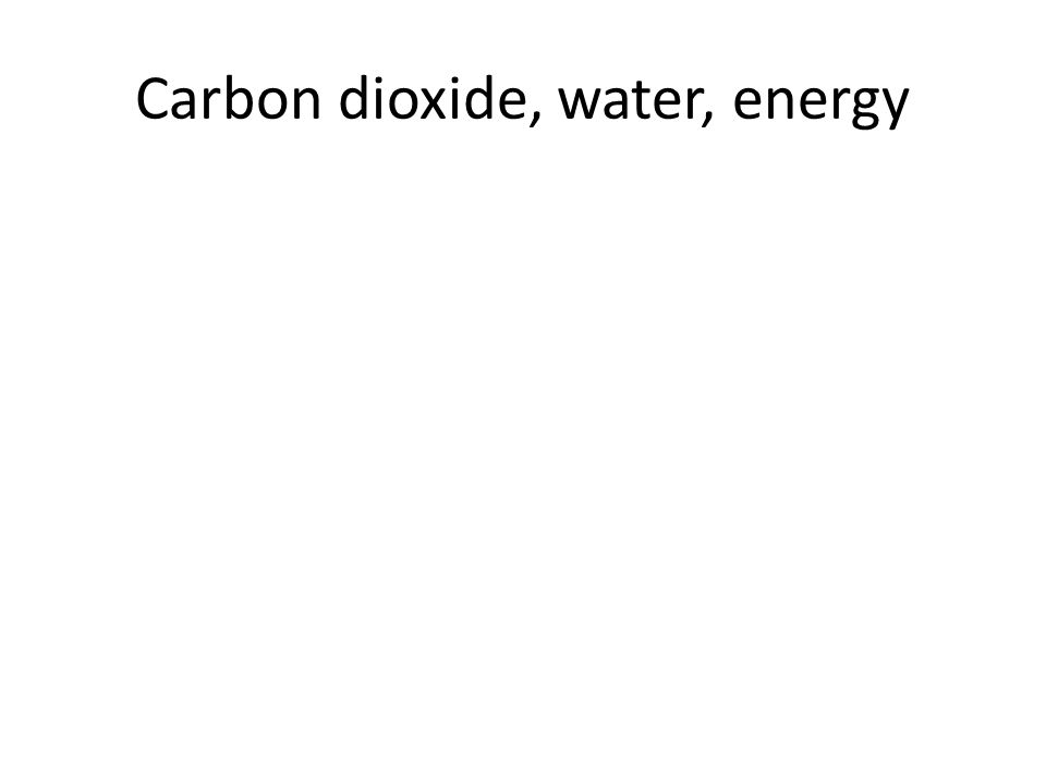 Carbon dioxide, water, energy