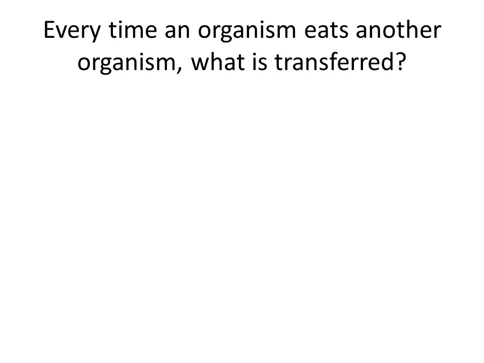 Every time an organism eats another organism, what is transferred