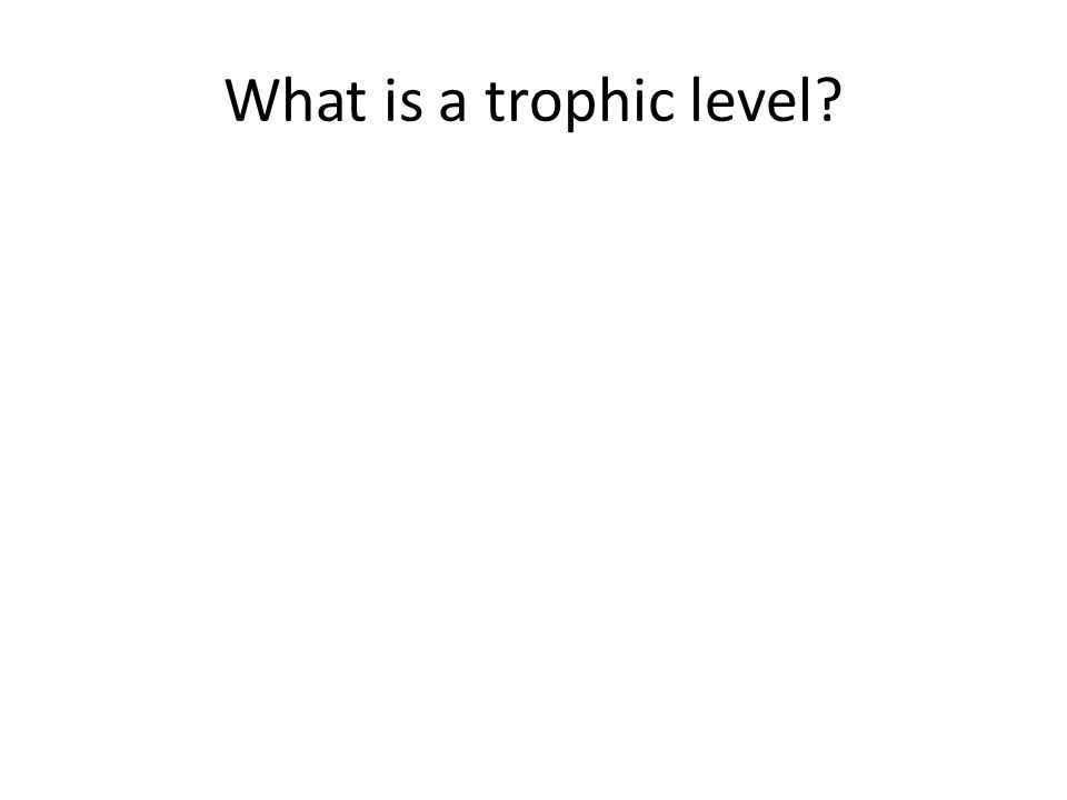 What is a trophic level