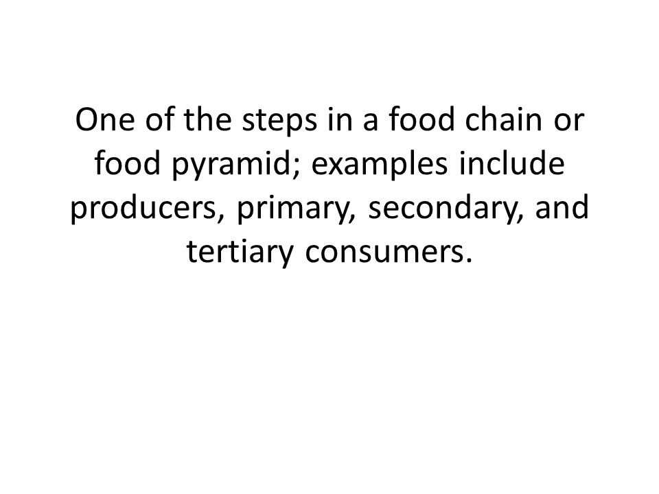 One of the steps in a food chain or food pyramid; examples include producers, primary, secondary, and tertiary consumers.