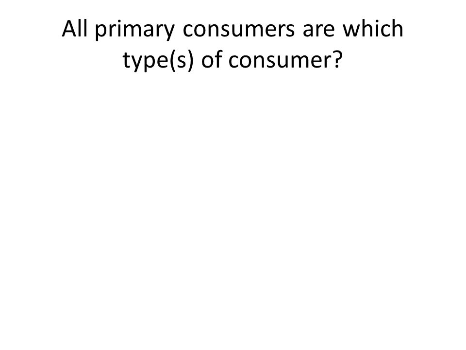 All primary consumers are which type(s) of consumer