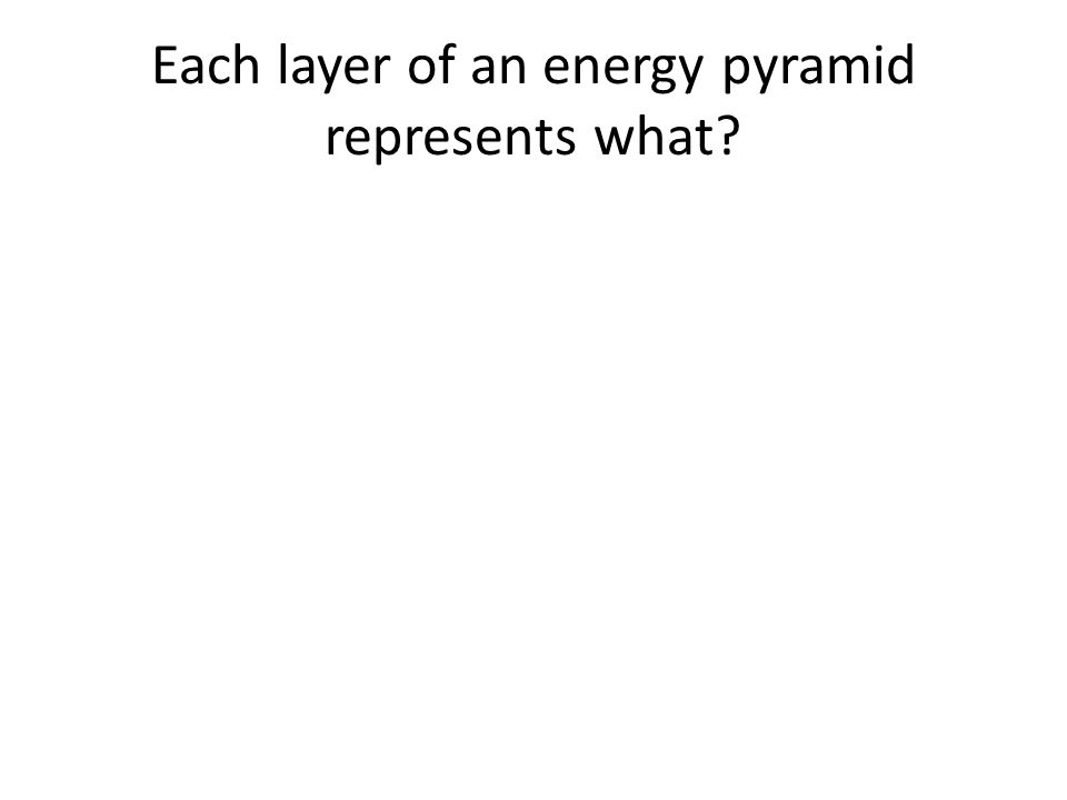 Each layer of an energy pyramid represents what
