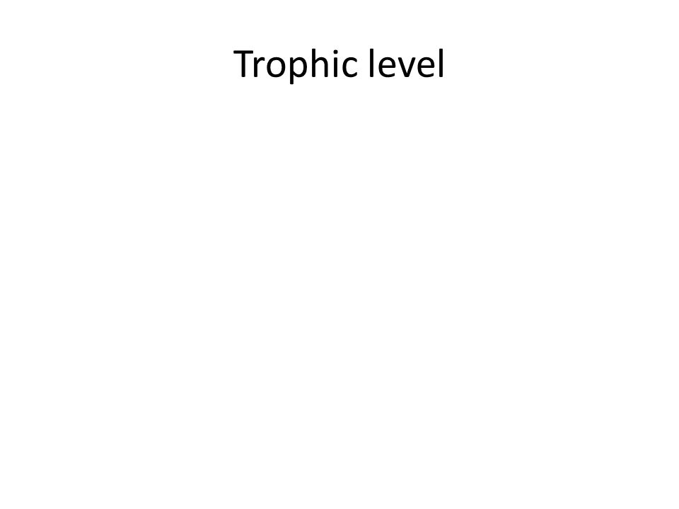 Trophic level