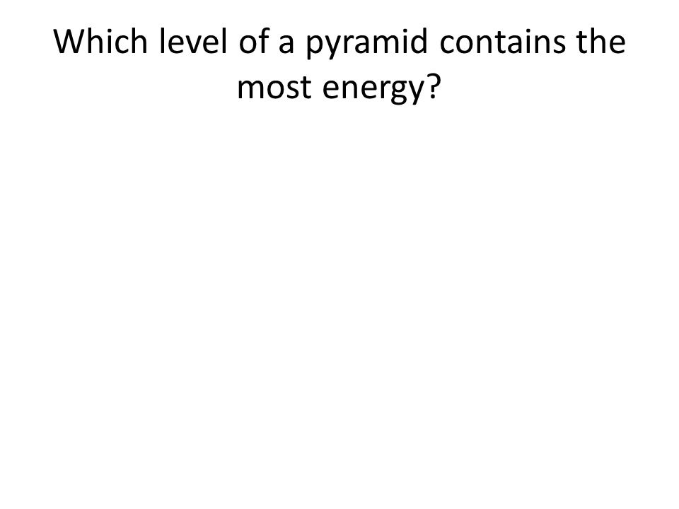 Which level of a pyramid contains the most energy
