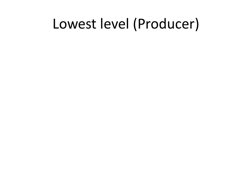 Lowest level (Producer)