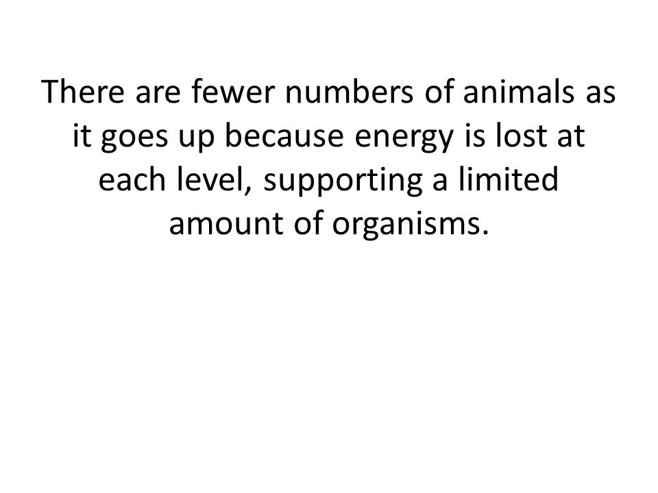 There are fewer numbers of animals as it goes up because energy is lost at each level, supporting a limited amount of organisms.