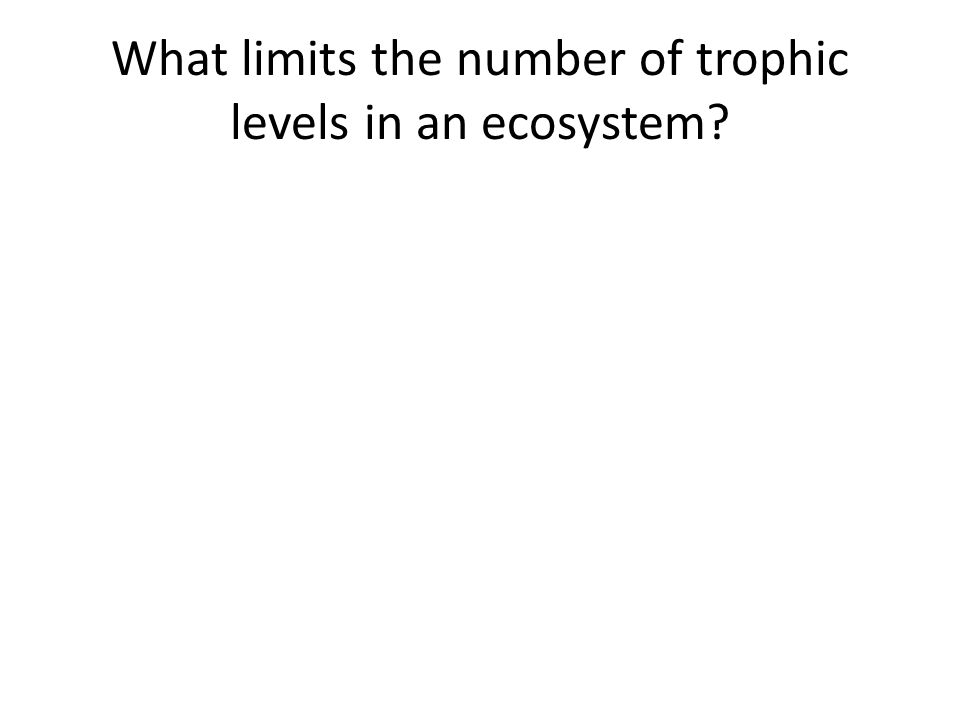 What limits the number of trophic levels in an ecosystem