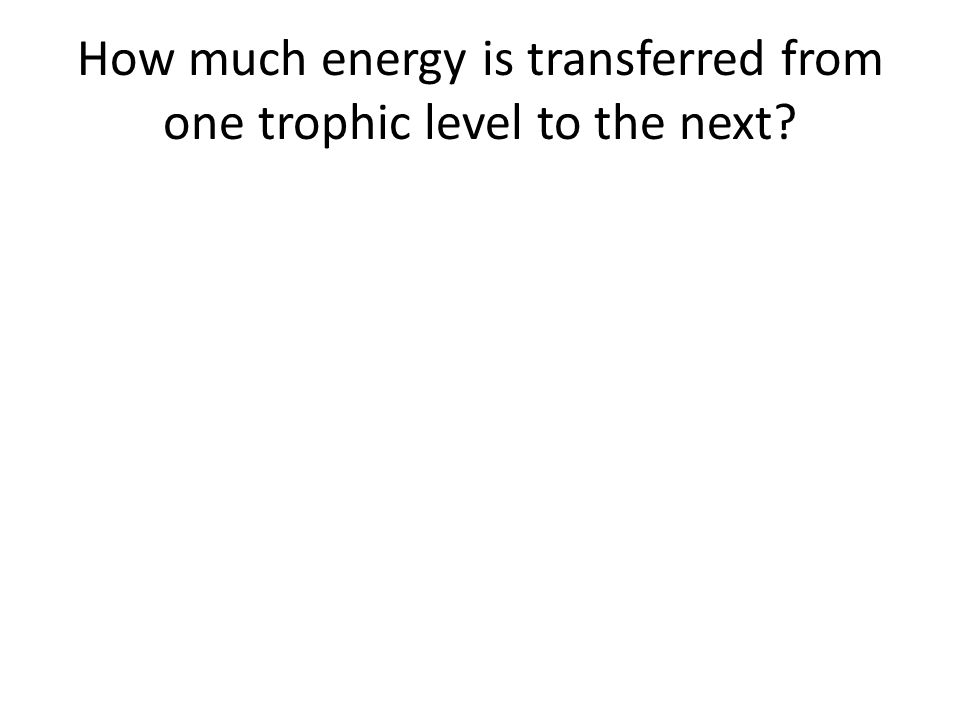 How much energy is transferred from one trophic level to the next