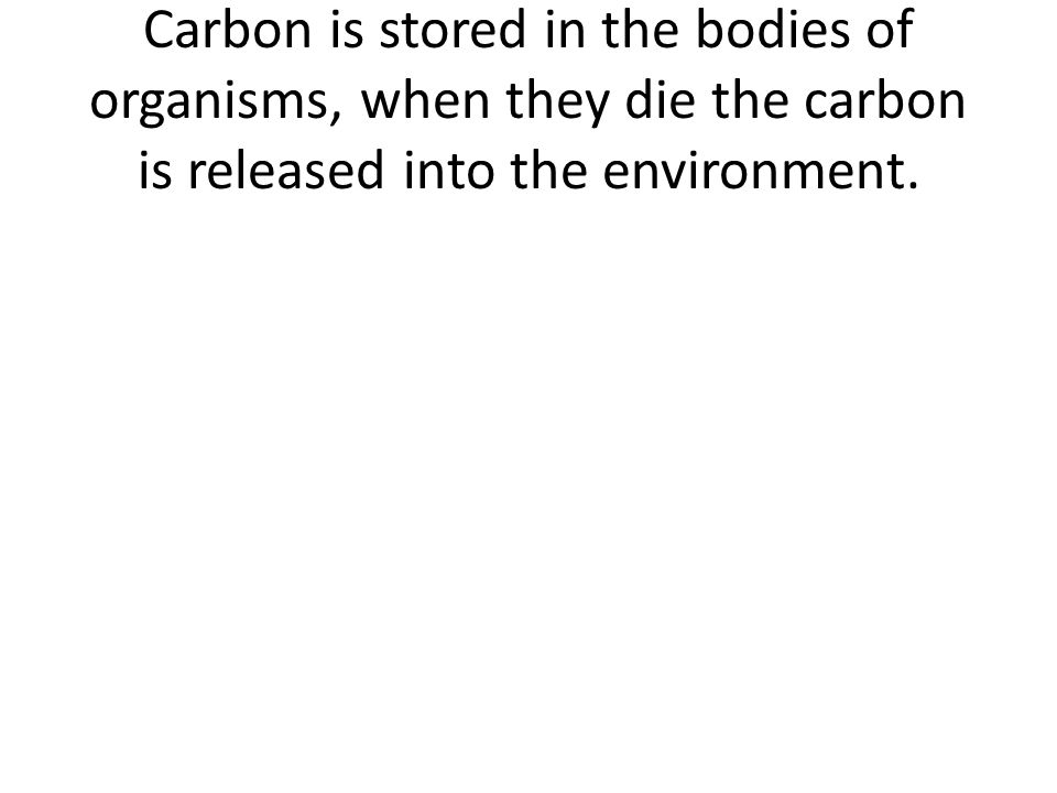 Carbon is stored in the bodies of organisms, when they die the carbon is released into the environment.