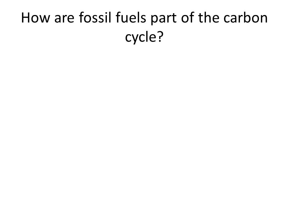 How are fossil fuels part of the carbon cycle