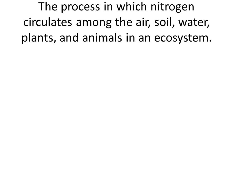 The process in which nitrogen circulates among the air, soil, water, plants, and animals in an ecosystem.