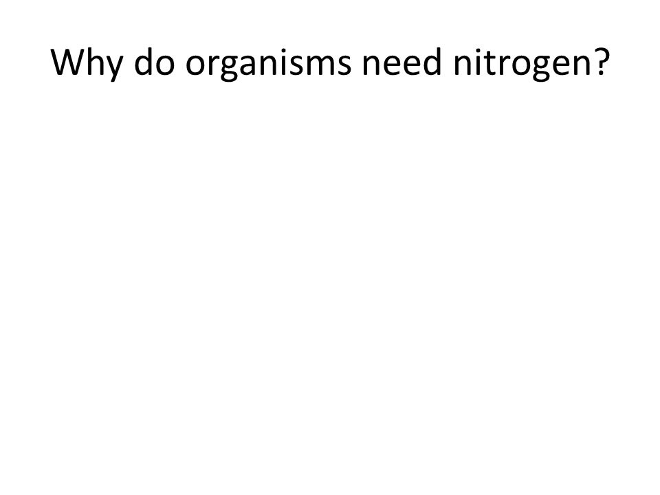 Why do organisms need nitrogen