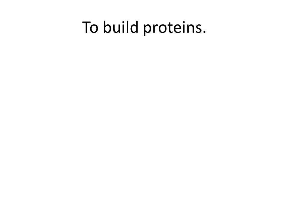 To build proteins.