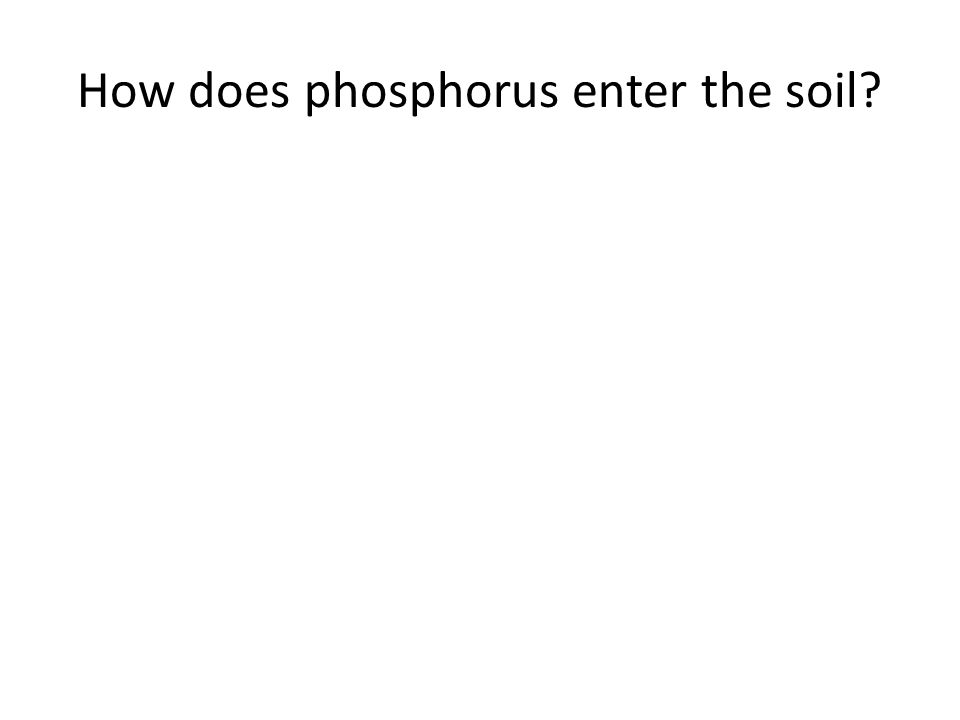 How does phosphorus enter the soil