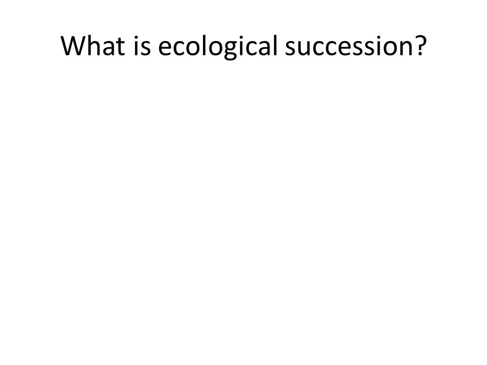 What is ecological succession