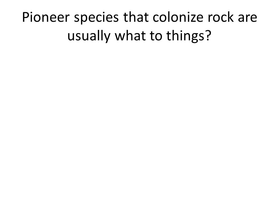 Pioneer species that colonize rock are usually what to things