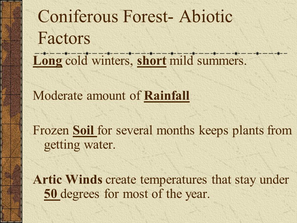 Coniferous Forest- Abiotic Factors