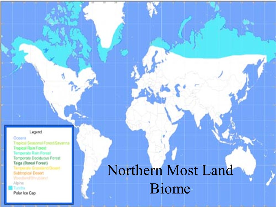 Northern Most Land Biome