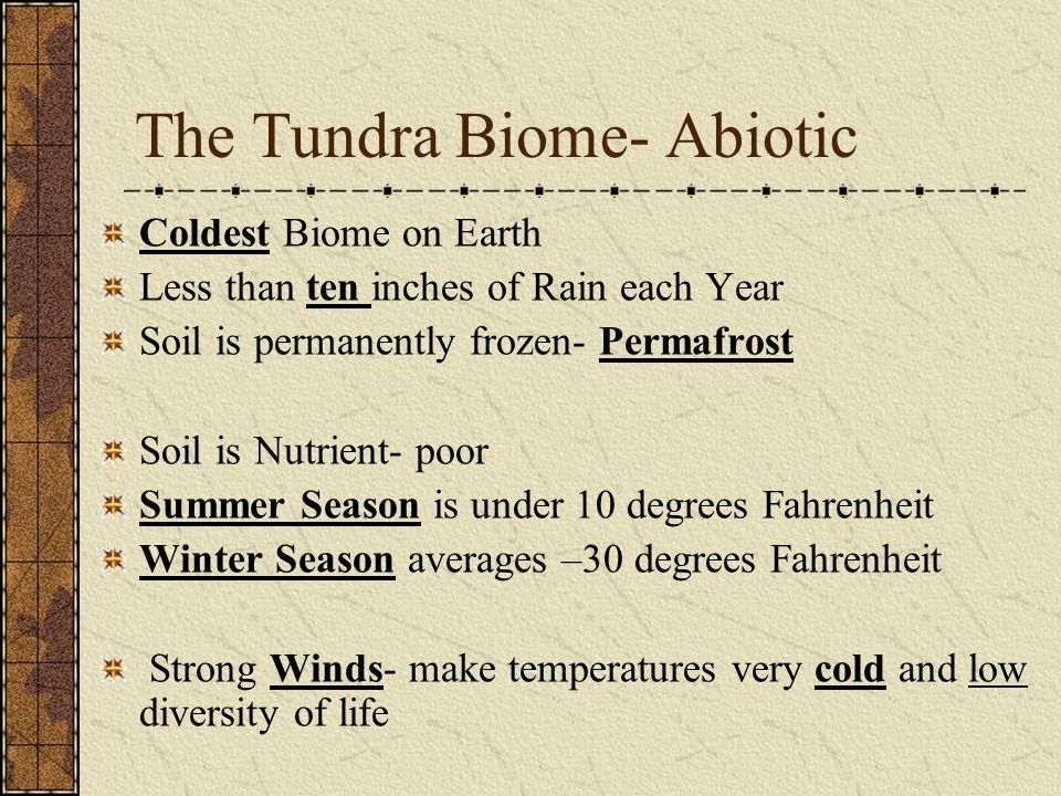 The Tundra Biome- Abiotic