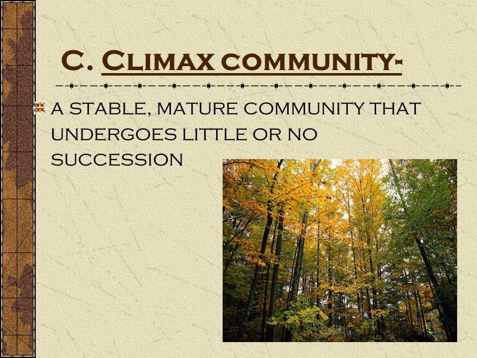 C. Climax community- a stable, mature community that undergoes little or no succession