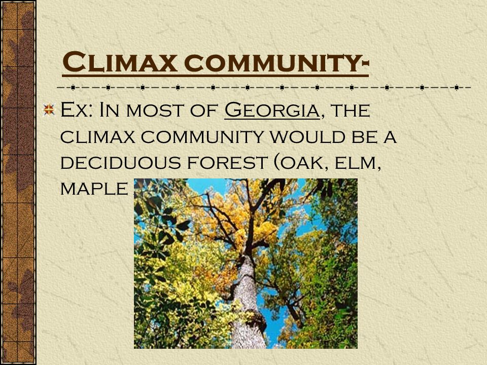 Climax community- Ex: In most of Georgia, the climax community would be a deciduous forest (oak, elm, maple and hickory.