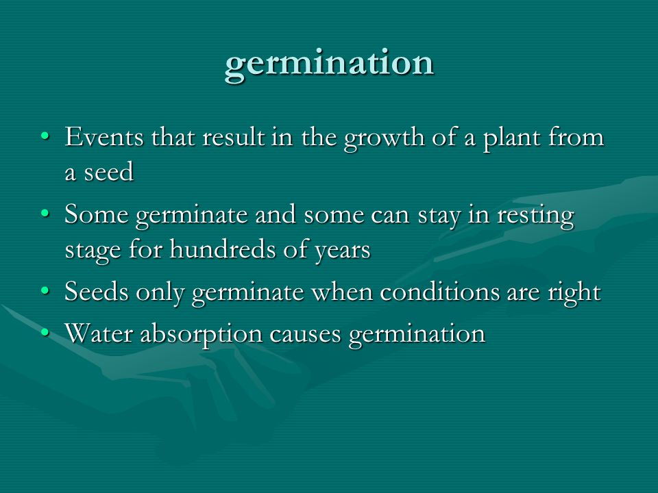 germination Events that result in the growth of a plant from a seed