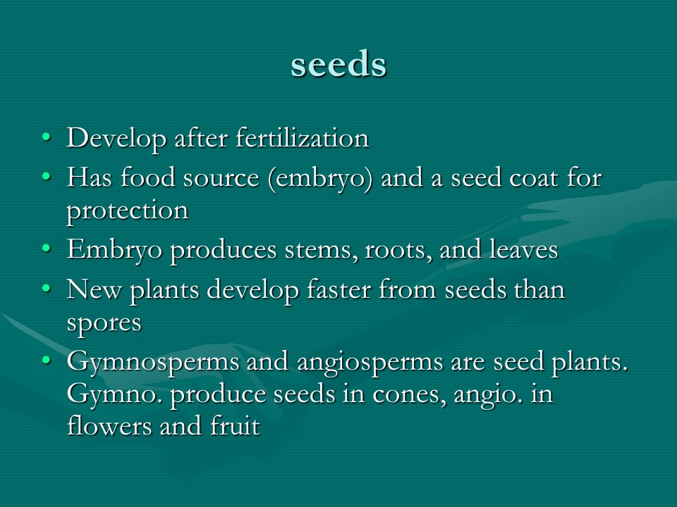 seeds Develop after fertilization