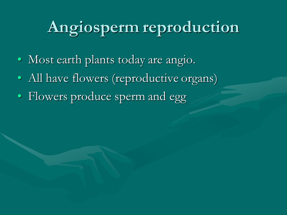 Angiosperm reproduction