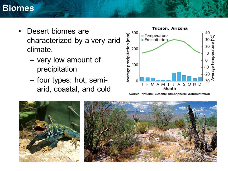 key concept biomes are land-based, global communities of