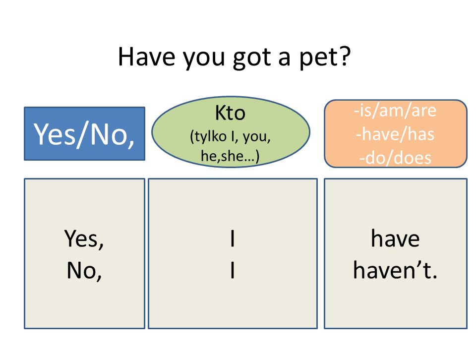 Yes/No, Have you got a pet Yes, No, I have haven’t. Kto -is/am/are