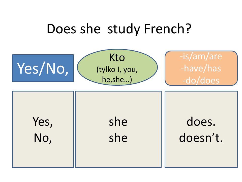 Yes/No, Does she study French Yes, No, she does. doesn’t. Kto