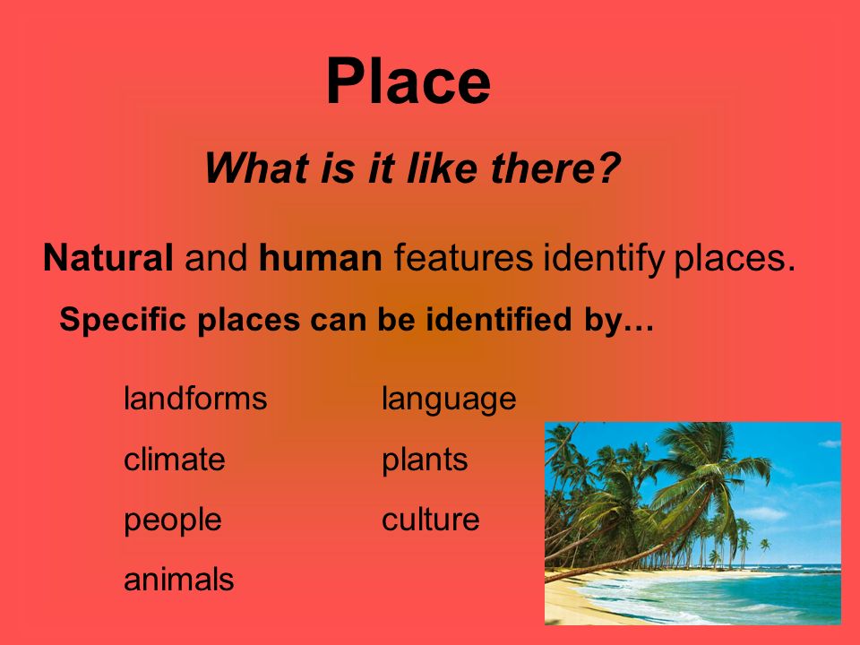 Natural and human features identify places.