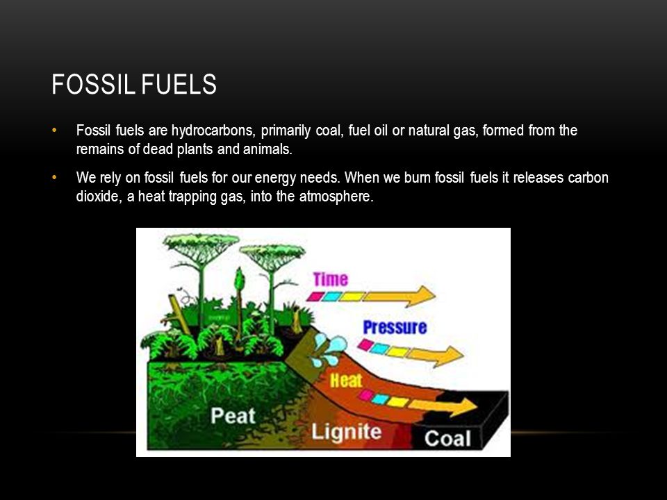 Fossil Fuels Fossil fuels are hydrocarbons, primarily coal, fuel oil or natural gas, formed from the remains of dead plants and animals.