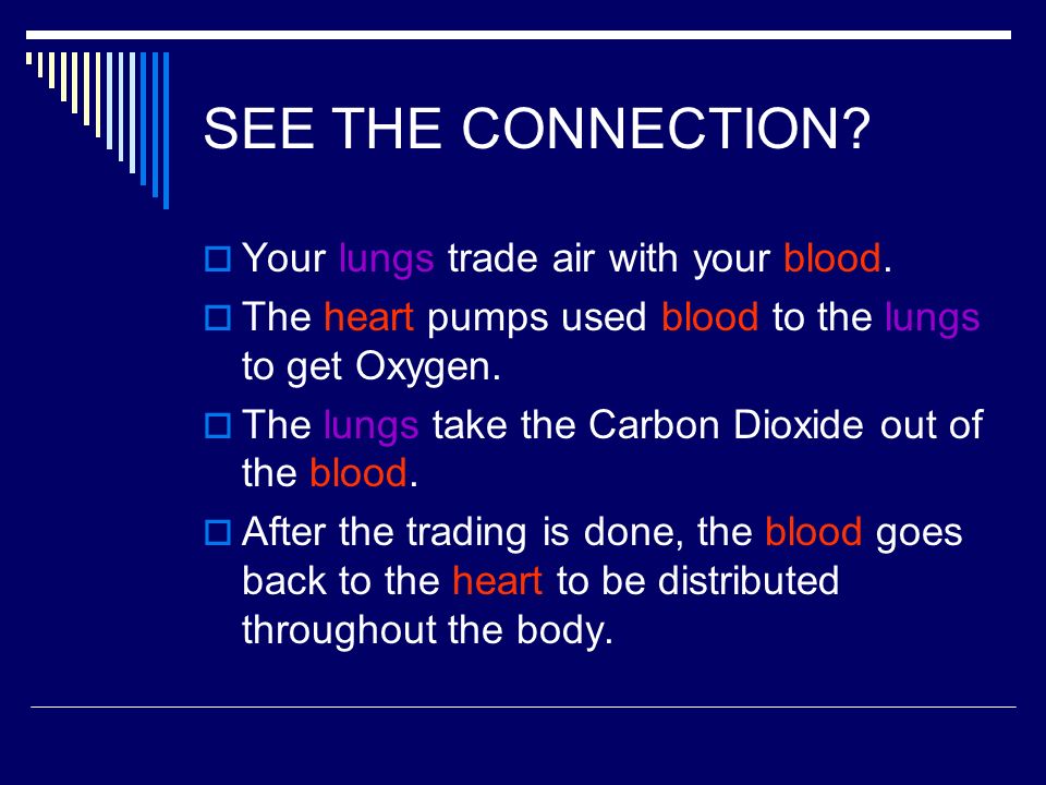 SEE THE CONNECTION Your lungs trade air with your blood.