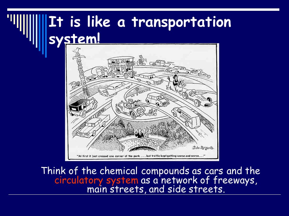 It is like a transportation system!
