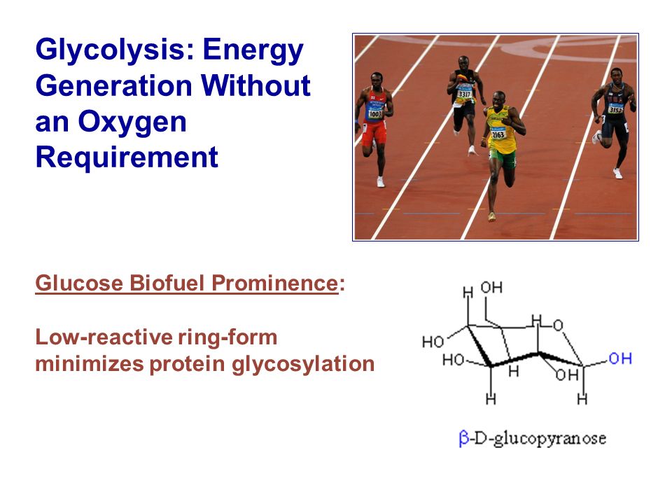 Glycolysis: Energy Generation Without an Oxygen Requirement