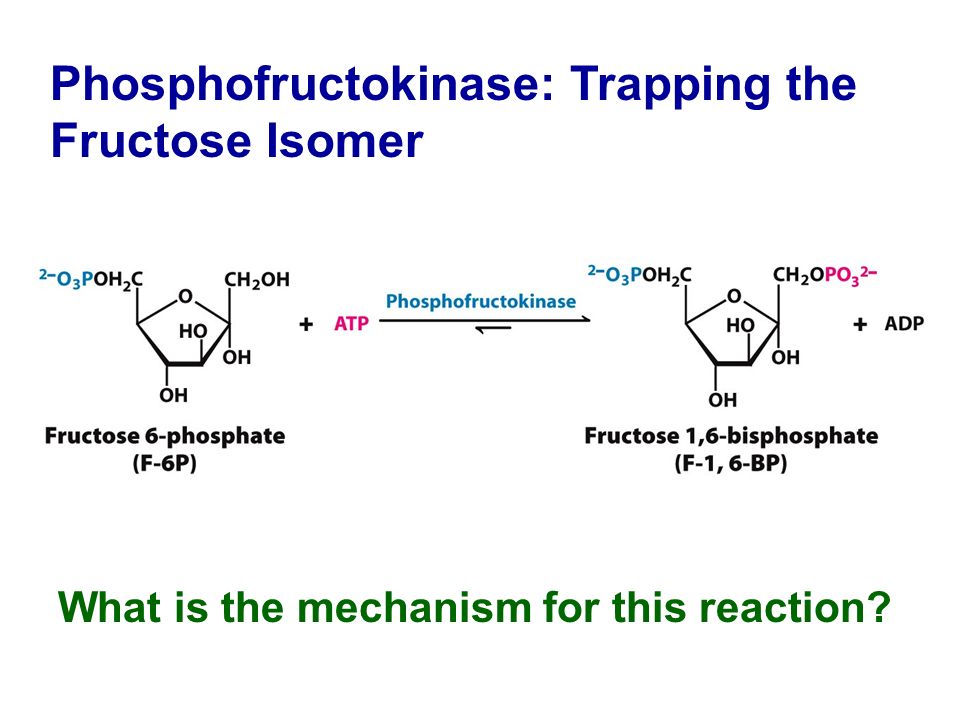Phosphofructokinase: Trapping the Fructose Isomer