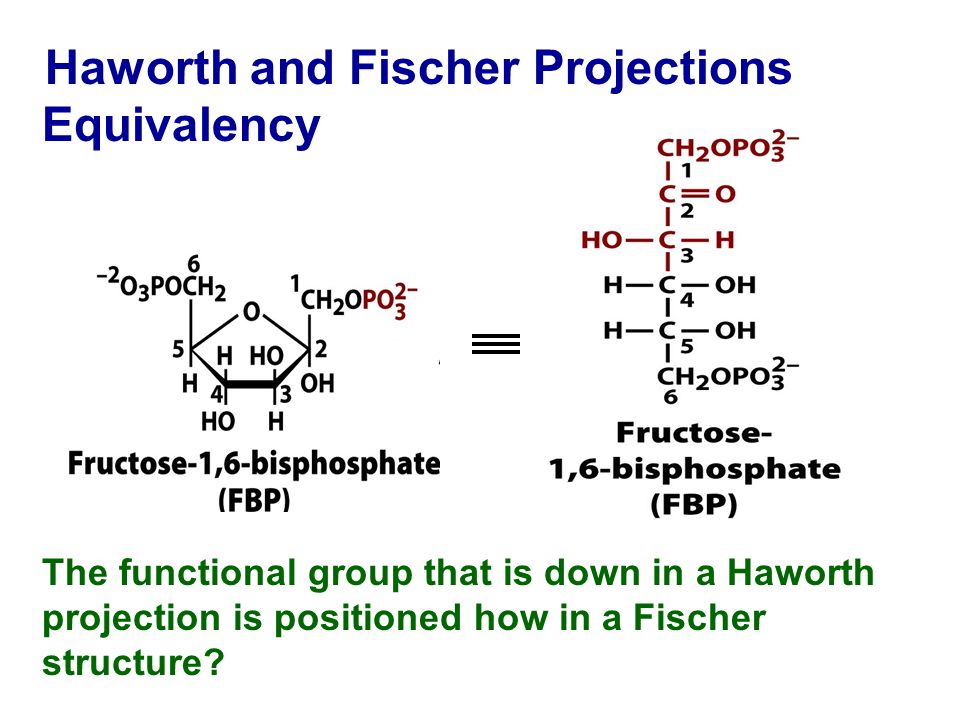 Haworth and Fischer Projections