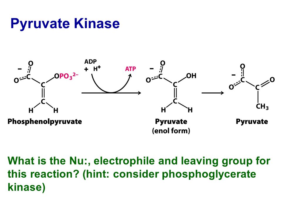 Pyruvate Kinase What is the Nu:, electrophile and leaving group for this reaction.