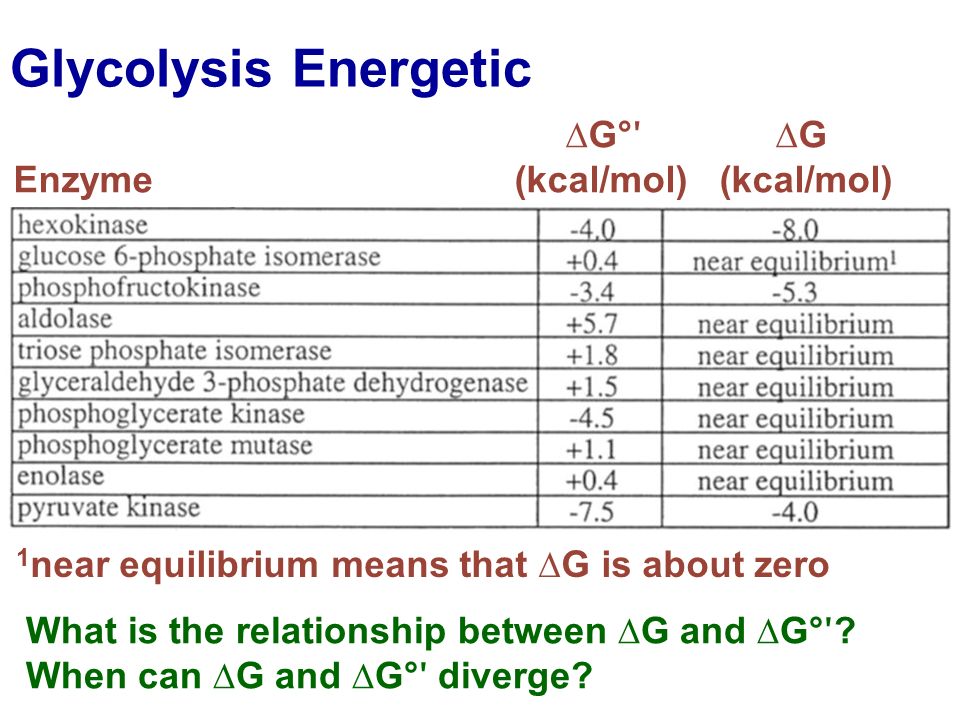 Glycolysis Energetic ∆G°ʹ ∆G Enzyme (kcal/mol) (kcal/mol)