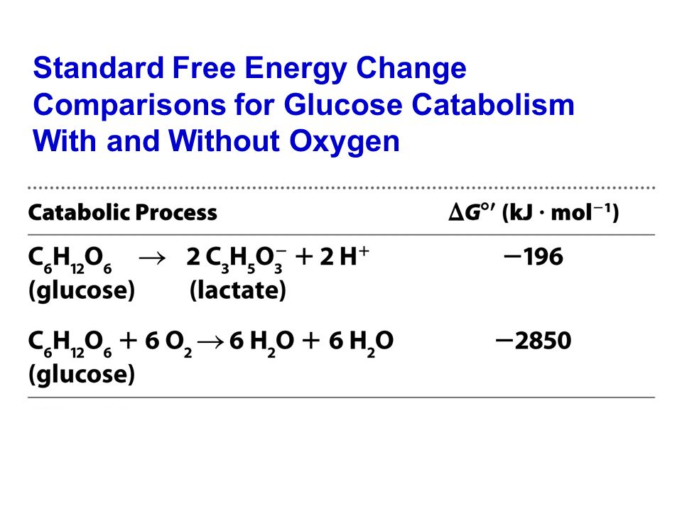 Standard Free Energy Change Comparisons for Glucose Catabolism
