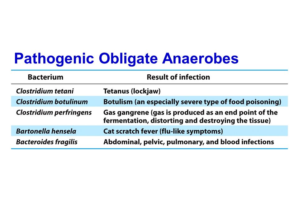 Pathogenic Obligate Anaerobes