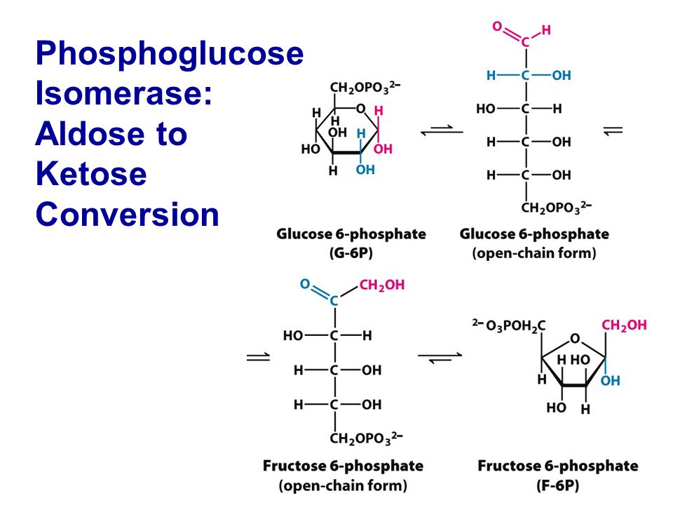 Phosphoglucose Isomerase: Aldose to