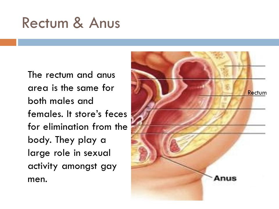 Excessive gas in anus area