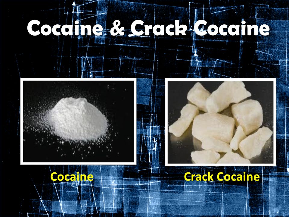 Dont sell food crack cocaine fan images