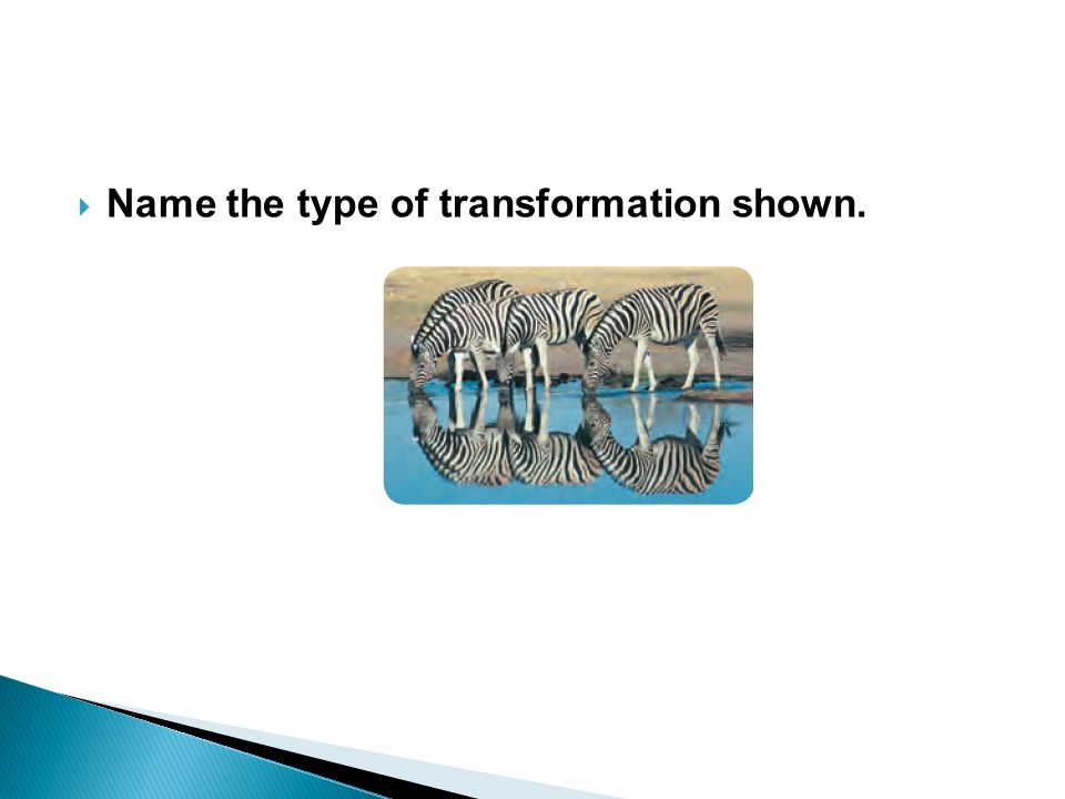 Name the type of transformation shown.