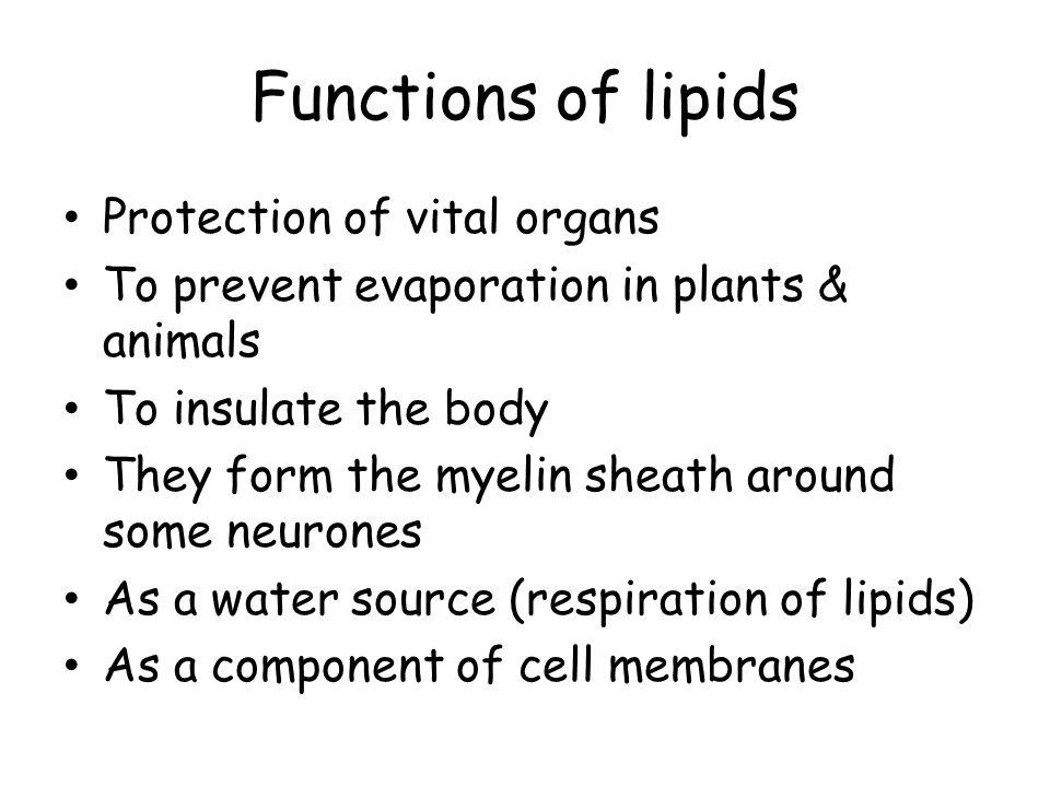 Functions of lipids Protection of vital organs