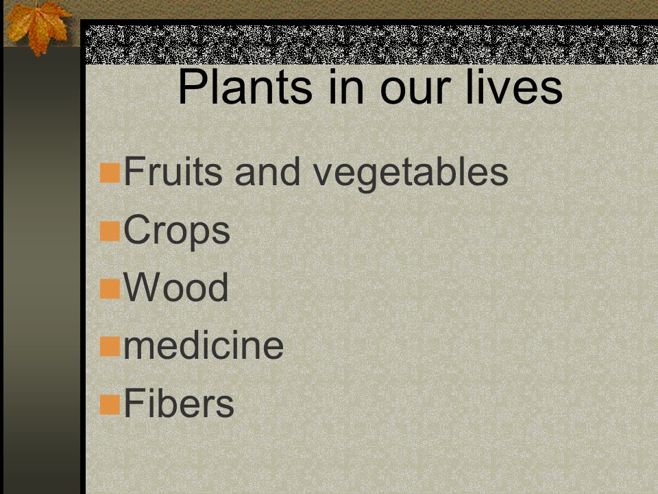 Plants in our lives Fruits and vegetables Crops Wood medicine Fibers